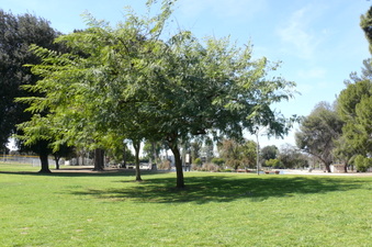 Enlarge photo 96