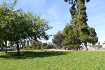 Enlarge photo 97