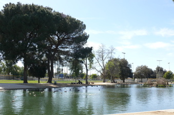 Enlarge photo 102
