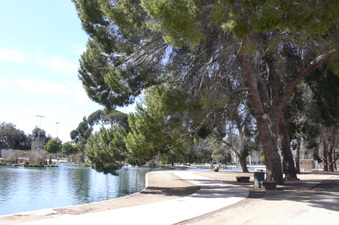 Enlarge photo 105