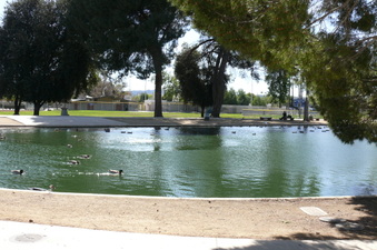 Enlarge photo 110