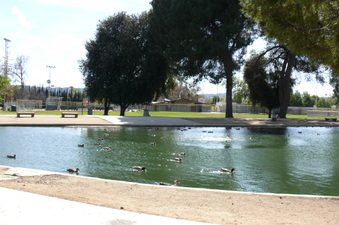 Enlarge photo 111