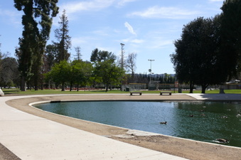Enlarge photo 113