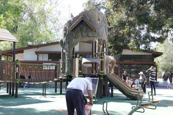 Enlarge photo 6