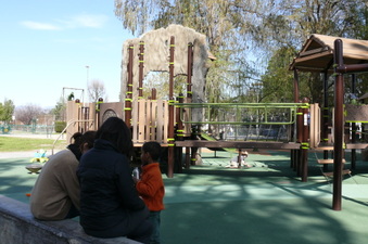 Enlarge photo 24