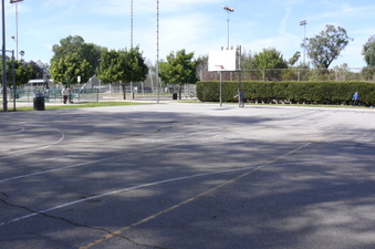 Enlarge photo 41