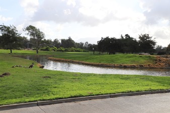 Oaks Hole 9 and Creek Hole 9
