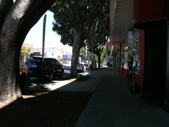 Enlarge photo 29