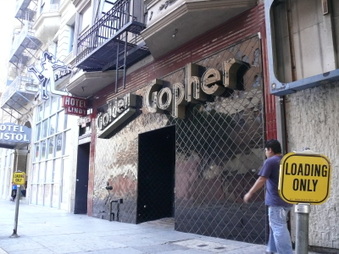 The Golden Gopher 