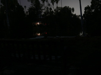 Arboretum Baldwin Lake Nighttime