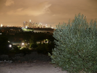 Enlarge photo 8
