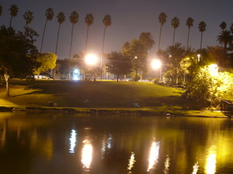 Enlarge photo 32