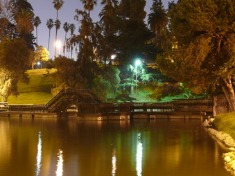 Enlarge photo 35