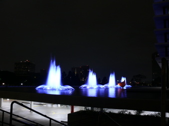 Enlarge photo 33