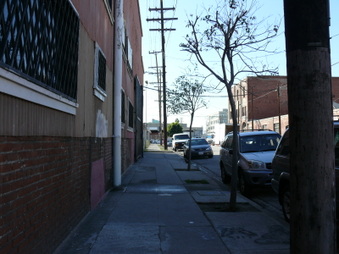 Enlarge photo 13