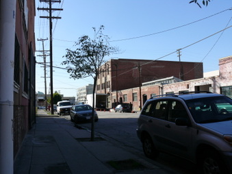 Enlarge photo 16