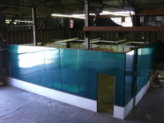 Enlarge photo 34