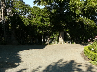 Enlarge photo 6