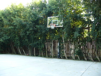 Enlarge photo 38