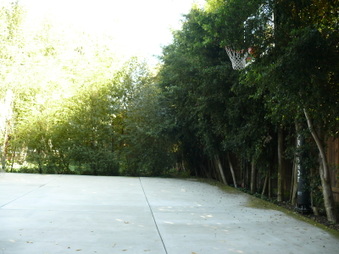 Enlarge photo 39