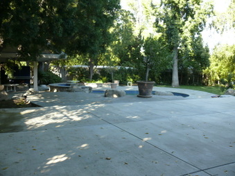 Enlarge photo 40