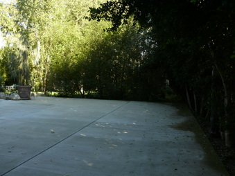 Enlarge photo 41