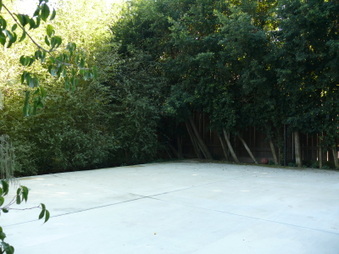 Enlarge photo 42