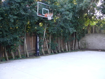 Enlarge photo 44