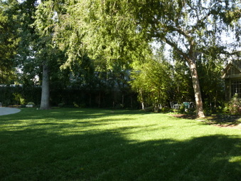 Enlarge photo 55