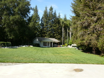 Enlarge photo 35