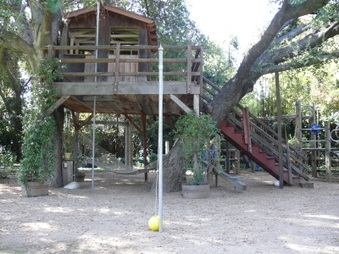 Enlarge photo 47