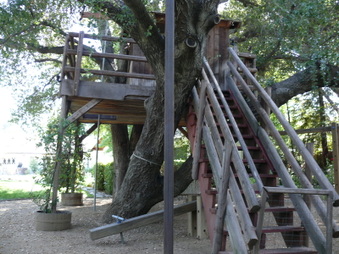 Enlarge photo 49