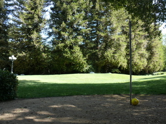 Enlarge photo 51