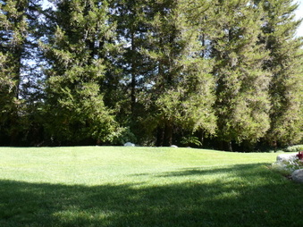Enlarge photo 52