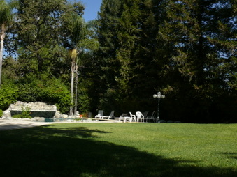 Enlarge photo 53
