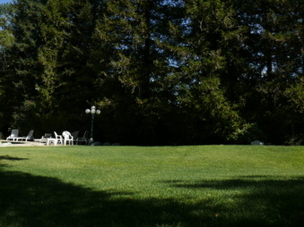 Enlarge photo 54