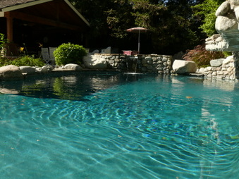 Enlarge photo 61