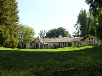Enlarge photo 81