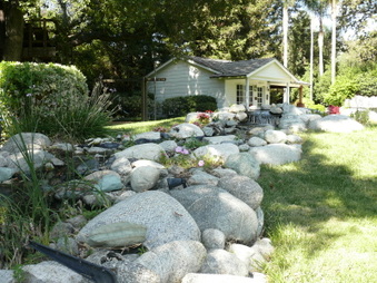 Enlarge photo 82