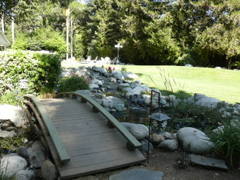 Enlarge photo 83