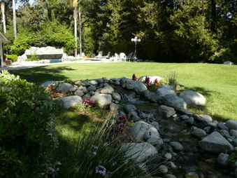 Enlarge photo 85