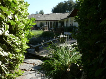 Enlarge photo 87