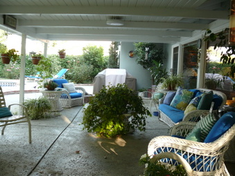 Enlarge photo 37