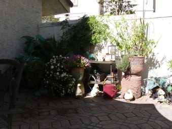 Enlarge photo 44