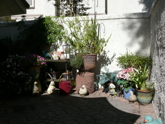Enlarge photo 45