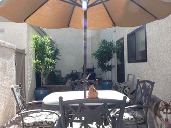 Enlarge photo 46