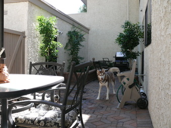 Enlarge photo 48