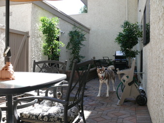 Enlarge photo 49