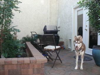 Enlarge photo 51