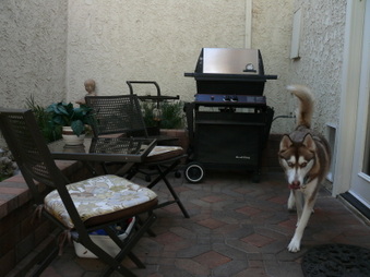 Enlarge photo 52